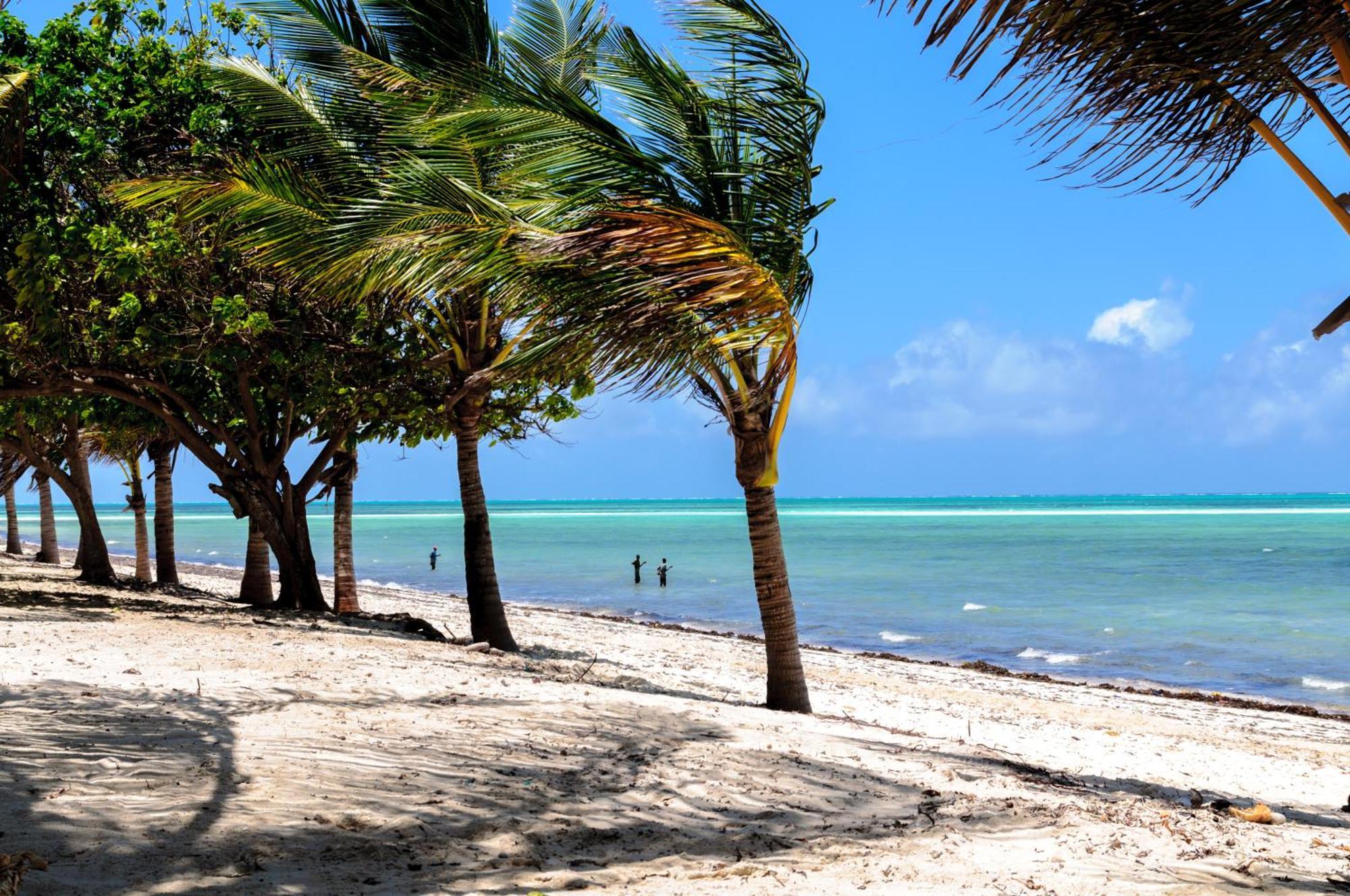 Twiga Beach Resort Watamu Eksteriør billede