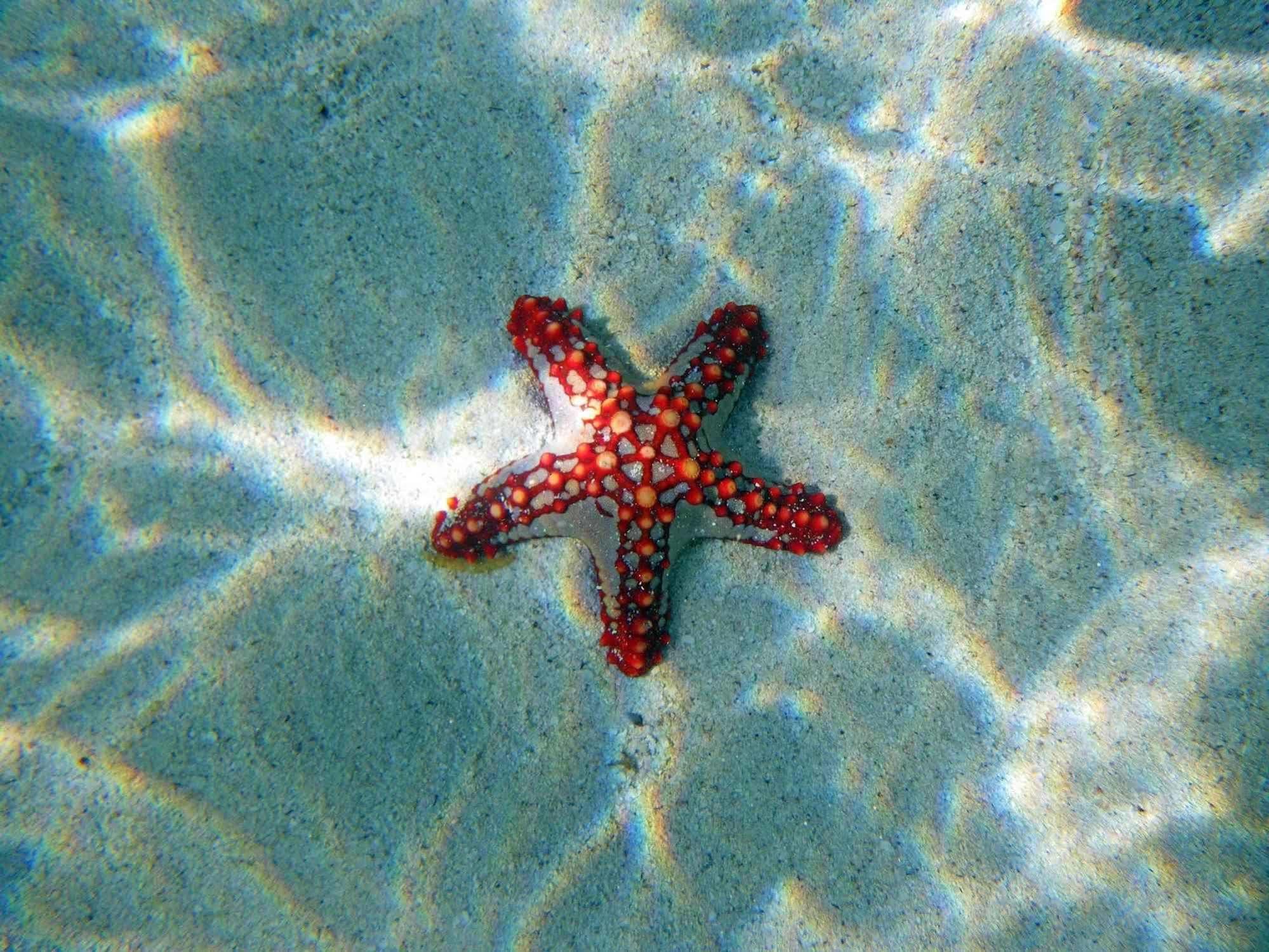 Twiga Beach Resort Watamu Eksteriør billede